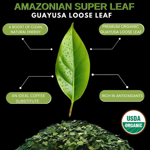 16 OZ (1LB), 60 Amazonian Treasure Organic Guayusa Loose Leaf Tea, Smooth Energy Boost, Alternative to Coffee & Yerba