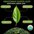 16 OZ (1LB), 60 Amazonian Treasure Organic Guayusa Loose Leaf Tea, Smooth Energy Boost, Alternative to Coffee & Yerba