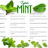 Sets 2 3.5" 5-9" TANKDA Live Mint Plants Herb in Pot, Fresh Spearmint for Indoor Outdoor Growing, Spring Planting