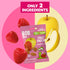 Gummy 12-Pack (480g), Bob Snail Fruit Bites Apple Raspberry flavor, Real Fruit Snacks with No Added Sugar, Vegan