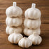 Generic 5PK 2 10 oz Fresh Garlic White Garlic Bag