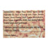 Peppy 10 75 Tomato Disc Jumbo Box Pouch, x g