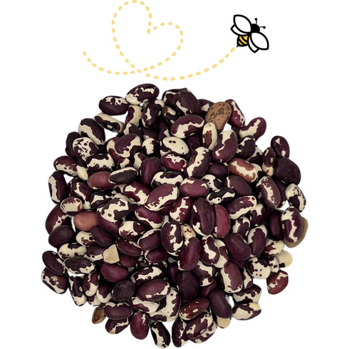 24 Raw Essentials Heirloom Anasazi Beans - Chili, Refried Beans, Soups and Stews - Non-GMO, Gluten Free, Vegan