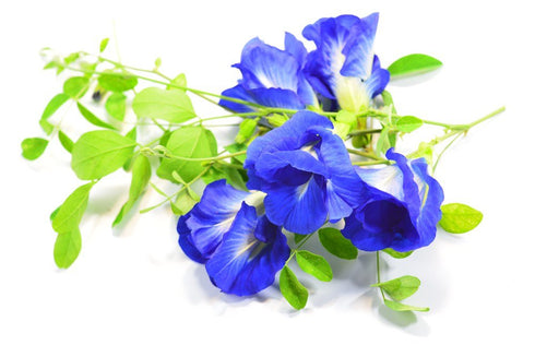 MAKALIN BRAND 100% (1000 Butterfly pea Flowers Whole, Dried Herb g)
