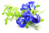 MAKALIN BRAND 100% (1000 Butterfly pea Flowers Whole, Dried Herb g)