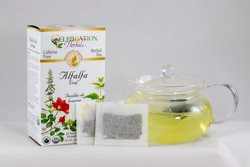 Alfalfa Leaf Tea - Certified Organic, 24 Tea Bags