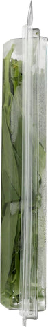 Fresh Produce 0.75 Herb Tarragon Organic, Ounce