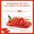 Somnus Pulptonic 100% Immunity 3.38Fl Oz (Pack 2) Pure Goji Berry Juice Concentrate - Natural Zhongning Goji Berries