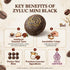35g Pack Pack 20 Zyluc Mini Black Crackers Tiramisu Flavored Snack with Coffee Cocoa Blend Portable Light Crunch, Halal