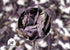 GRIGORIAN GOURMET 1 OZ (30g), Purple Basil (Ocimum basilicum) Aromatic Italian, Armenian, Greek Heritage Variety
