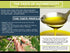 Tassos 17 Organic Extra Virgin Olive Oil, FZ