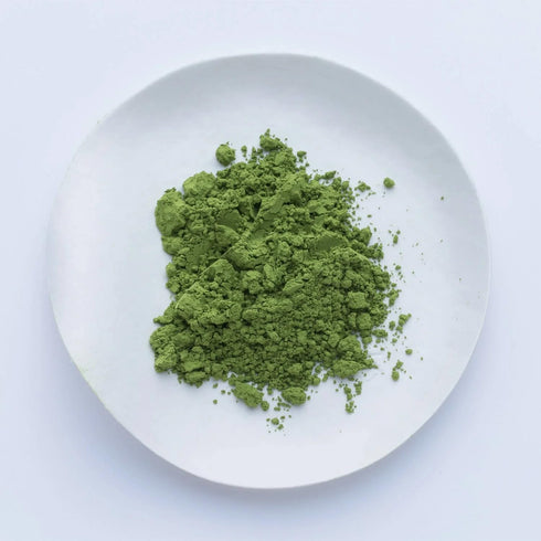 (40g) 1717 Ippodo Tea - Hatsu Matcha - For Lattes, Smoothies, Desserts and Usucha - Light & Astringent - Kyoto Since