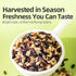 7 25% 1000g Brown Rice with Multigrain Rice, Grain Rice Blend for Rice Cooker & Congee, Purple Rice Mixed Grains