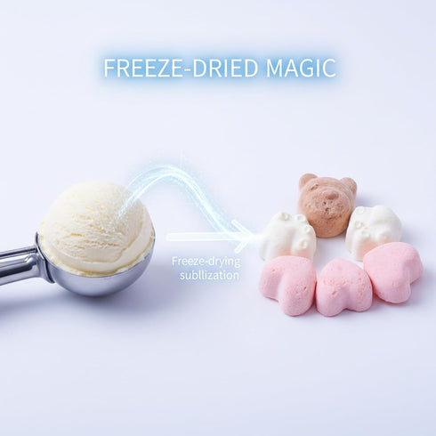 DYBOEDYO 5.29oz/150g,Strawberry, Freeze Dried Ice Cream Chocolate, and Original,Creamy & Crunchy Treat,Individually