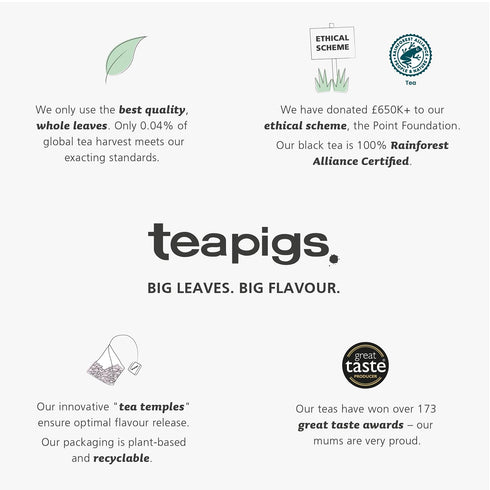 50 Count (1 Pack 50 Teapigs Peppermint Leaves Tea Bags Made With Whole Tea Leaves, Natural Ingredients, Non-GMO