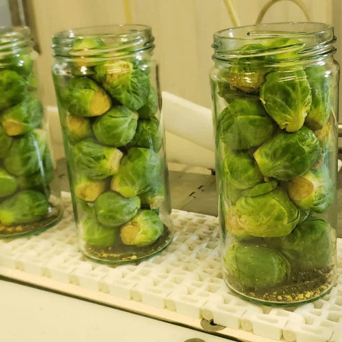 16oz, 2 Pack, 40 Foster's Pickled Brussel Sprouts in a Jar, Original, Traditional Pickled Vegetables Recipe for over