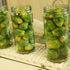 16oz, 2 Pack, 40 Foster's Pickled Brussel Sprouts in a Jar, Original, Traditional Pickled Vegetables Recipe for over