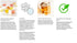Reset 10 Pack Everydaze Kombucha Tea Powdered Beverage Mix | Sticks | Prebiotics + Probiotics | Vegan | No Added Sugar
