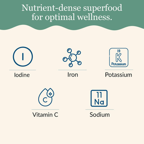 1.5 oz (Pack 2) Maine Coast Sea Vegetables Organic Dulse Granules Shaker | Seaweed Seasoning | Rich in Iodine & Protein
