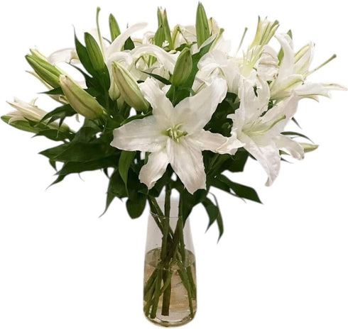 Cassiolina 0 Stems Fresh Oriental Lily Flowers Fragrant Lily Bouquet for Vase Home Decor Wedding Party Floral