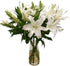 Cassiolina 0 Stems Fresh Oriental Lily Flowers Fragrant Lily Bouquet for Vase Home Decor Wedding Party Floral