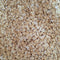OIO Flaked White Wheat 10 lb