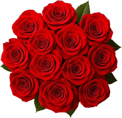 Generic Dozen 12 60CM/23.62IN) One Fresh Roses Bouquet, Premium Long-Stem Ecuador Roses, Hand-Tied Floral Arrangement