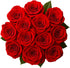 Generic Dozen 12 60CM/23.62IN) One Fresh Roses Bouquet, Premium Long-Stem Ecuador Roses, Hand-Tied Floral Arrangement