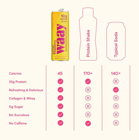 Waay 12 Lemon Sparkling Protein Water, FZ