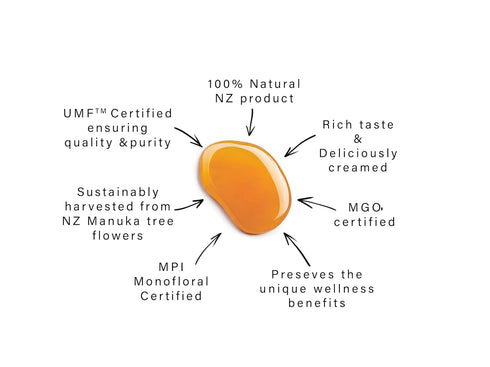 API Health 5+ 83+) 1.1 lb (500g) Manuka Honey UMF (MGO Pure New Zealand Honey