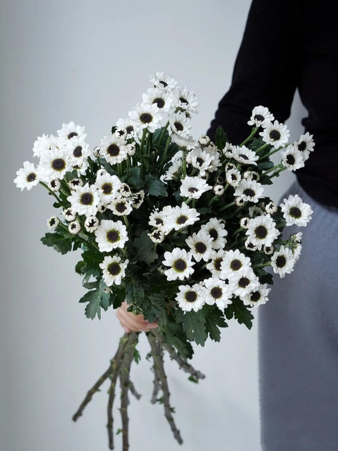 19 Stems Fresh Panda Bicolor Daisies Flowers Well Maintained Long Blooming Hydroponic Flower Arrangement Gift for Home