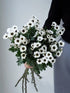 19 Stems Fresh Panda Bicolor Daisies Flowers Well Maintained Long Blooming Hydroponic Flower Arrangement Gift for Home