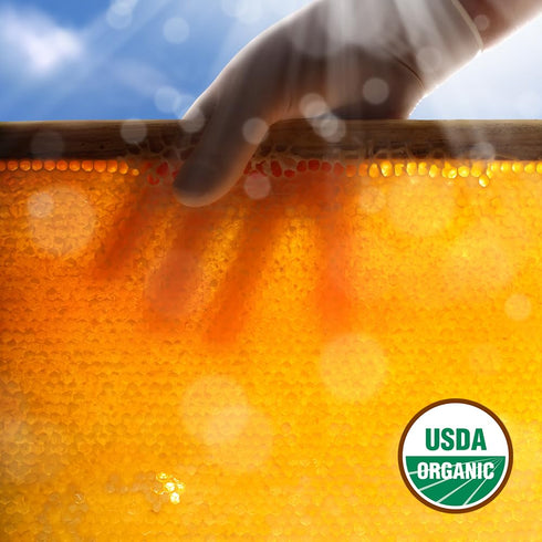100% 100 Count Glorybee, Lemon Honeystix, US Grade A Honey