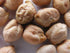 8 Garbanzo Bean Microgreen OUNCES OF GARBANZO BEAN SEEDS FOR SPROUTING