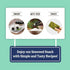 Organic DAECHUN Seaweed Snacks, 20 Pack, Original, Premium Product of Korea