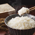 (4.4 lbs) Kagayaki Select Rice | California White Short Grain | Koshihikari Variety | Kapika Processed | Ideal