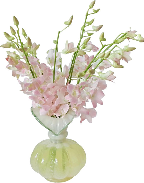 20 Vibrant Pink Dendrobium Orchids - Perfect Gift for Any Occasion