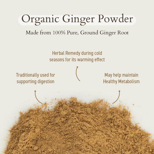 1.4 oz Geo-Fresh Organic Ginger Powder - Ground Ginger Powder Organic Raw - USDA Certified, Non-GMO, Kosher
