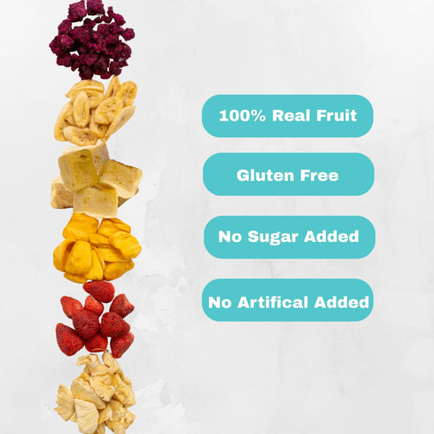 12 Packs 1 Oz, 100% Juju-Oops Freeze-Dried Mixed Fruit Bulk | Crunchy Healthy Snacks for Family, Holiday Gifts Box