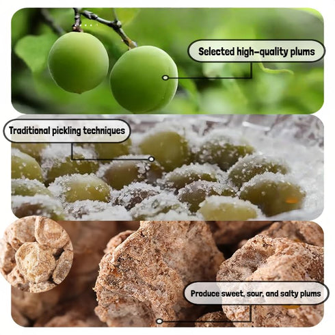 JZFDSBA 17.6oz (500g) Taiwanese-Style Preserved Plums - | Tart & Tangy Salty-Sweet Flavor | Perfect for Tea, Cocktails
