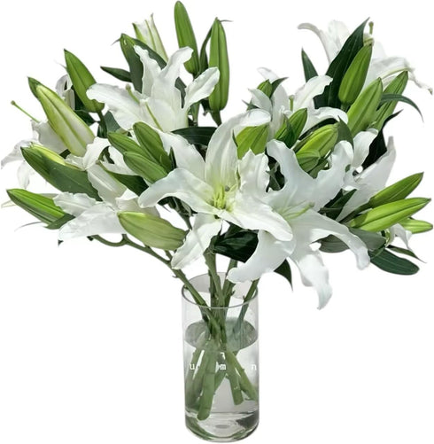 Cassiolina 0 Stems Fresh Oriental Lily Flowers Fragrant Lily Bouquet for Vase Home Decor Wedding Party Floral