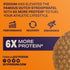 8 Count PODIUM Protein Stroopwafel (Caramel)