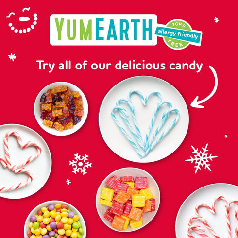 YumEarth Organic Candy Canes - Full Size Peppermint, Individually Wrapped, Allergy Friendly, Vegan - 10 Count (Pack of