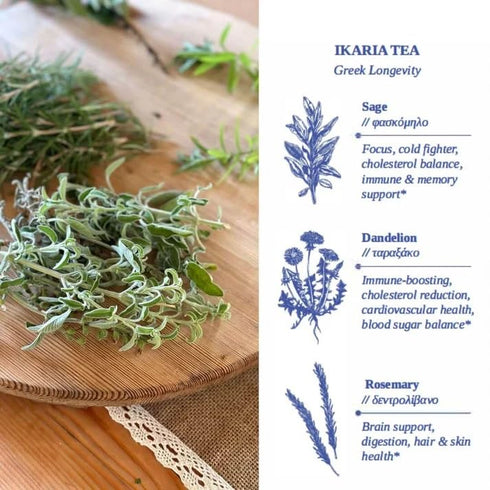 100% 50G (1.8 OZ) (30 IKARIA Tea | Blue Zone Herbal Tea for Longevity | Sage, Dandelion, Rosemary | ORGANIC