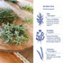 100% 50G (1.8 OZ) (30 IKARIA Tea | Blue Zone Herbal Tea for Longevity | Sage, Dandelion, Rosemary | ORGANIC
