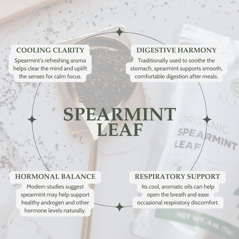 4 oz. (113g), Organic Spearmint Leaves USDA Certified Organic Spearmint Tea Dried Loose Leaf, Dry Mint, Cut & Sifted