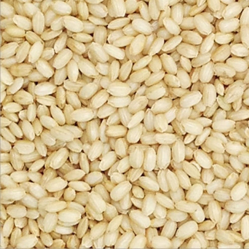 Hamchorom 2lb Brown Sweet Rice Sweet Sticky Rice Glutinous Short Grain Brown Rice in Fibers and Minerals
