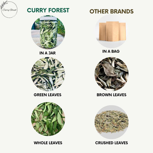 Leaves-100% CurryForest Premium Dried Curry Natural, Pesticide-Free Whole Leaves, USA Grown, Air Dried.