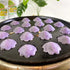 Generic (500g) Traditional Thai Pandan Sweet Pancake Mix Authentic Chewy Singapore-Style Pancake Flour Blend