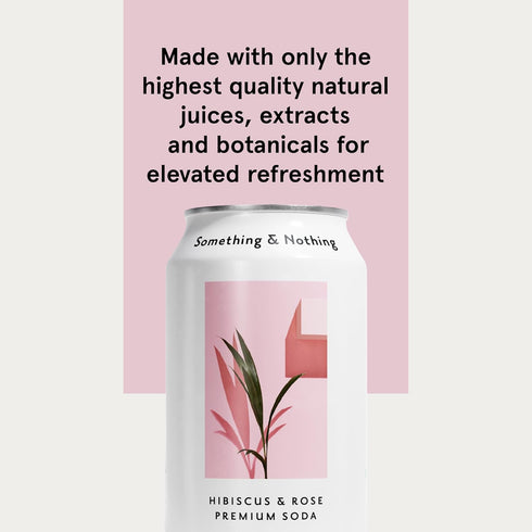 12 Oz (Pack 12) Something & Nothing Hibiscus & Rose Flavoured Sparkling Water | Lightly Carbonated, Full Flavoured